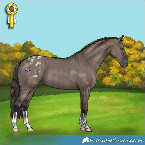 Horse Color:Liver Red Dun Appaloosa Brindle and Grullo Appaloosa Brindle