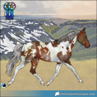 Horse Color:White Spotted Silver Bay Tobiano 