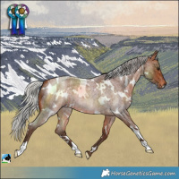 Horse Color:White Spotted Silver Brown Roan