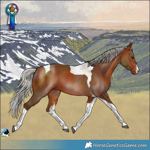 Horse Color:White Spotted Silver Brown Tobiano 