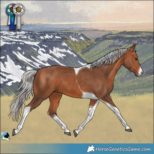 Horse Color:White Spotted Silver Bay Tobiano 