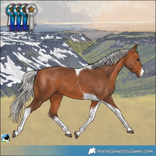 Horse Color:White Spotted Silver Bay Tobiano 