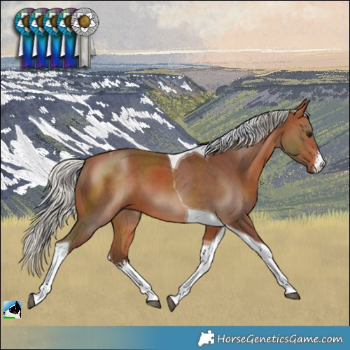 Horse Color:White Spotted Silver Bay Tobiano 