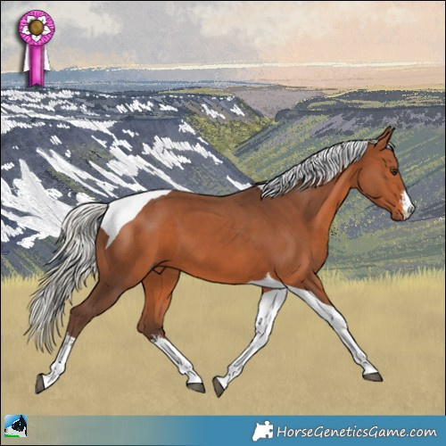 Horse Color:White Spotted Silver Brown Tobiano 