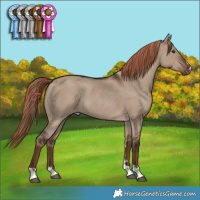 Horse Color:Liver Red Dun 