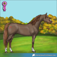 Horse Color:Liver Red Dun 
