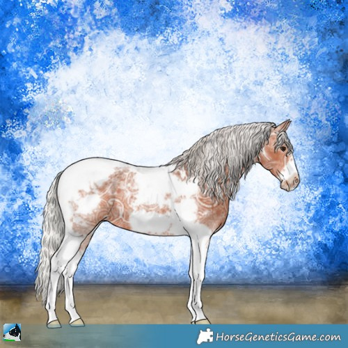 Horse Color:Silver Bay Ice Tobiano Frame