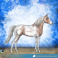 Horse Color:Silver Bay Ice Tobiano Frame 