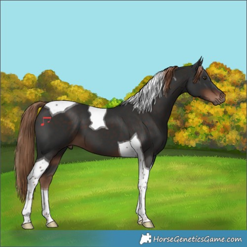Horse Color:Liver Chestnut Tobiano 