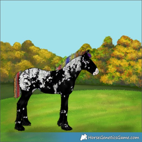 Horse Color:Painted White Spotted Brown Ice Dun Sabino 