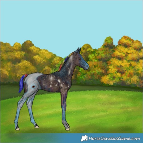 Horse Color:ERROR: UNKNOWN ANOMALY