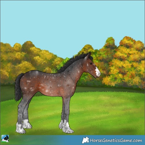 Horse Color:Brown 
