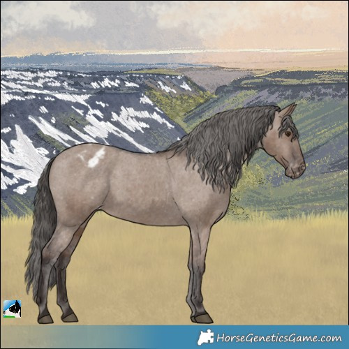 Horse Color:Liver Red Dun Varnish