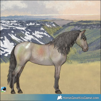 Horse Color:Liver Red Dun Varnish 
