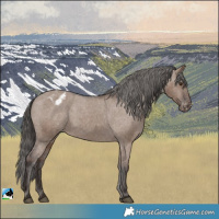 Horse Color:Liver Red Dun Varnish