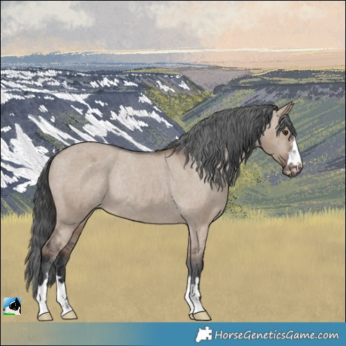 Horse Color:Liver Red Dun Varnish Rabicano