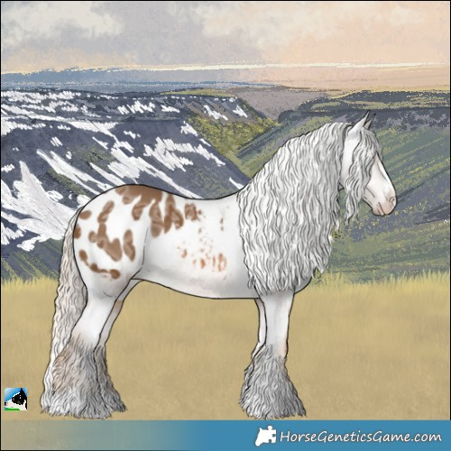 Horse Color:Chocolate Palomino Ice Appaloosa Rabicano