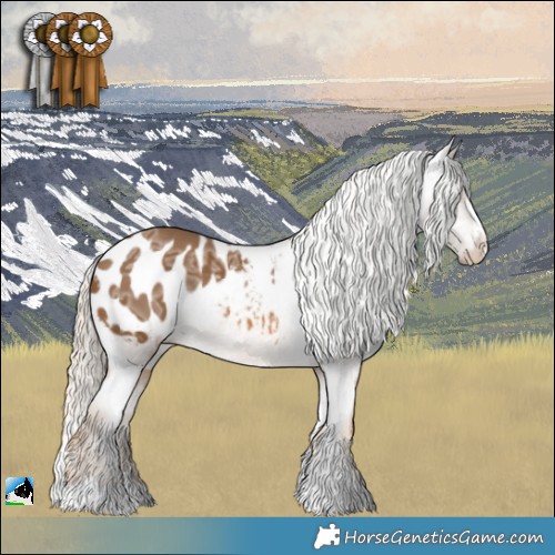 Horse Color:Chocolate Palomino Ice Appaloosa Rabicano 
