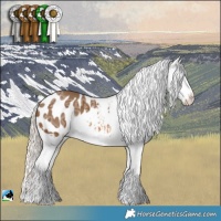 Horse Color:Chocolate Palomino Ice Appaloosa Rabicano