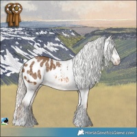 Horse Color:Chocolate Palomino Ice Appaloosa Rabicano 