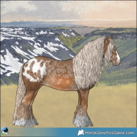 Horse Color:Chocolate Palomino Ice Appaloosa Rabicano 