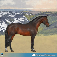 Horse Color:Brown Rabicano