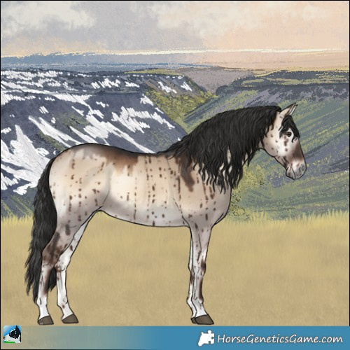 Horse Color:Liver Red Dun Onyx Rabicano Brindle
