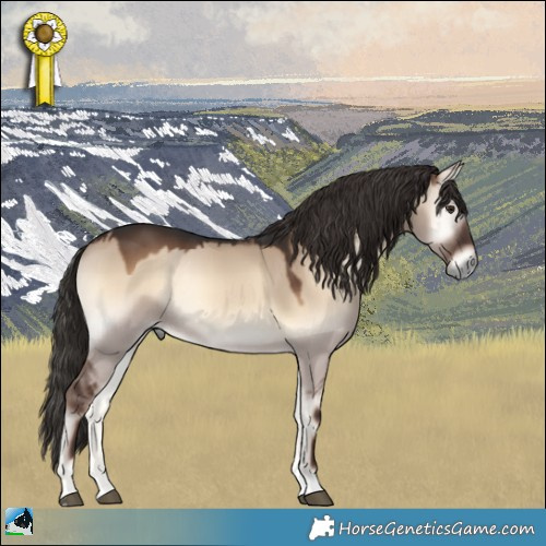 Horse Color:Liver Red Dun Onyx Rabicano 