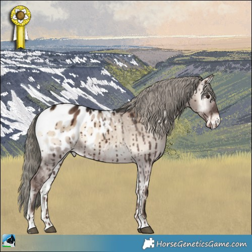 Horse Color:Liver Red Dun Onyx Mushroom Appaloosa Rabicano Brindle 