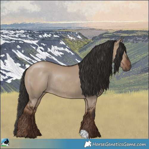 Horse Color:Liver Red Dun Rabicano 