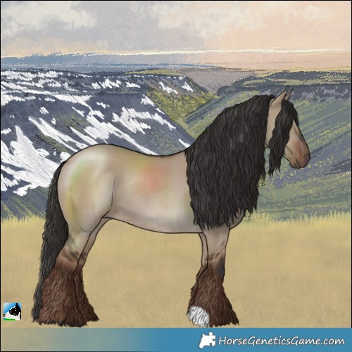 Horse Color:Liver Red Dun Rabicano 