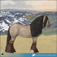 Horse Color:Liver Red Dun Rabicano 