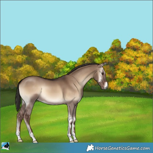 Horse Color:Liver Red Dun Onyx 
