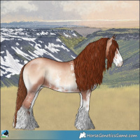 Horse Color:Gold Champagne Onyx Sabino Rabicano 