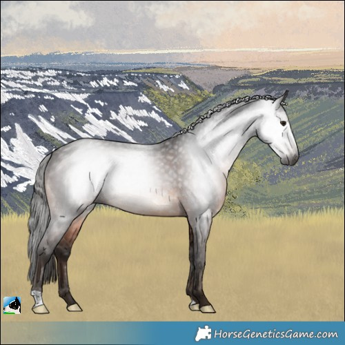 Horse Color:Gray Brown Mushroom Rabicano
