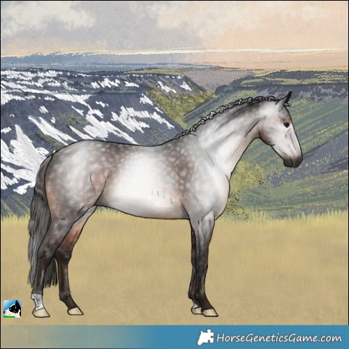 Horse Color:Gray Brown Mushroom Rabicano 