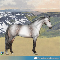 Horse Color:Gray Brown Mushroom Rabicano 