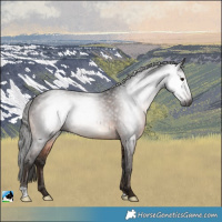 Horse Color:Gray Brown Mushroom Rabicano