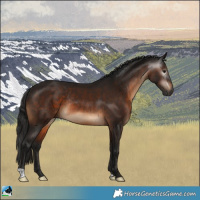 Horse Color:Gray Brown Mushroom Rabicano 