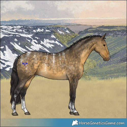 Horse Color:Powder White Buckskin Dun