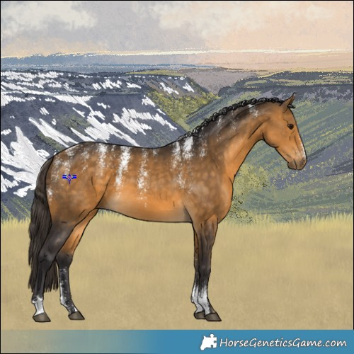 Horse Color:Powder White Buckskin