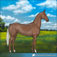 Horse Color:Silver Black 