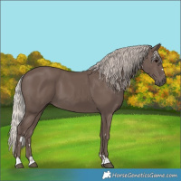 Horse Color:Silver Black