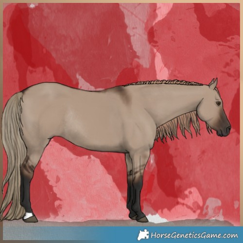 Horse Color:Liver Red Dun Rabicano 