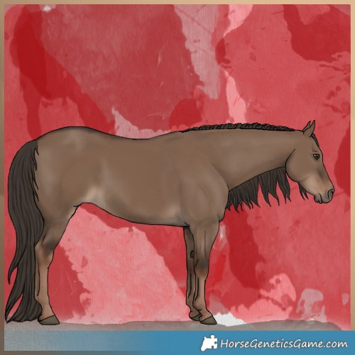 Horse Color:Liver Red Dun Rabicano 