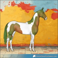 Horse Color:Watercolor Liver Chestnut Tobiano 