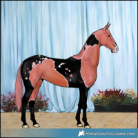 Horse Color:Watercolor Chestnut Tobiano 