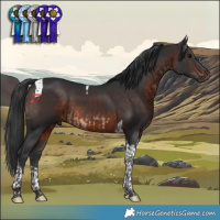 Horse Color:Brown Tobiano  and Brown Tobiano 