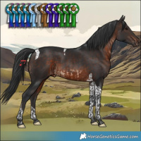 Horse Color:Brown Tobiano  and Brown Tobiano 