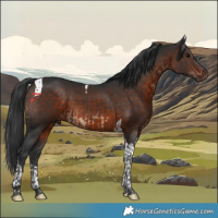 Horse Color:Brown Tobiano and Brown Tobiano